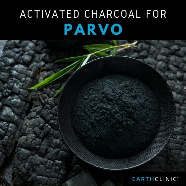 Activated Charcoal for Parvo.